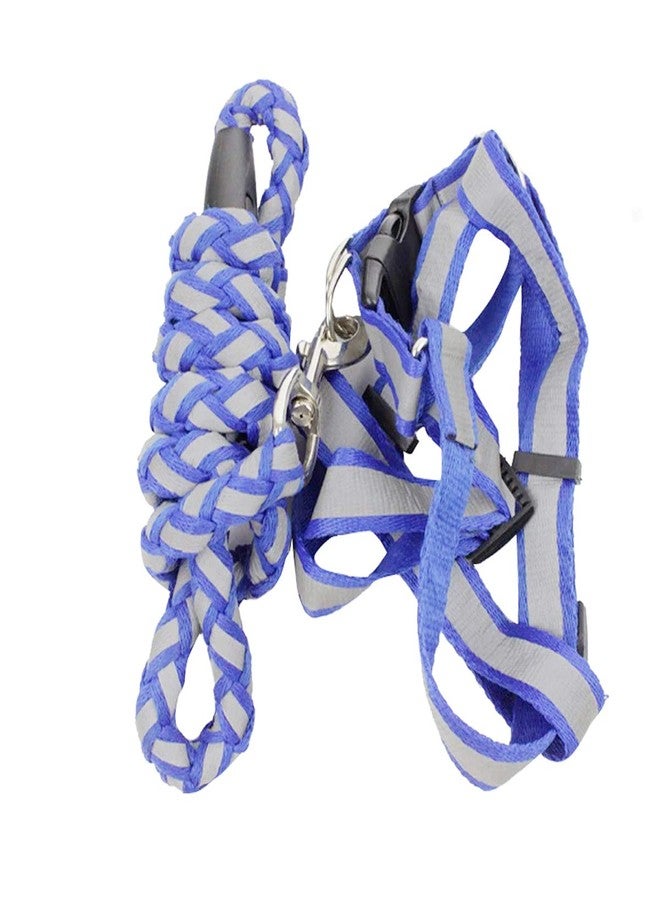 Nema NM Nema Nylon Chest Strap Reflective Dog Training Harness Leash-Blue-Large - Image 3